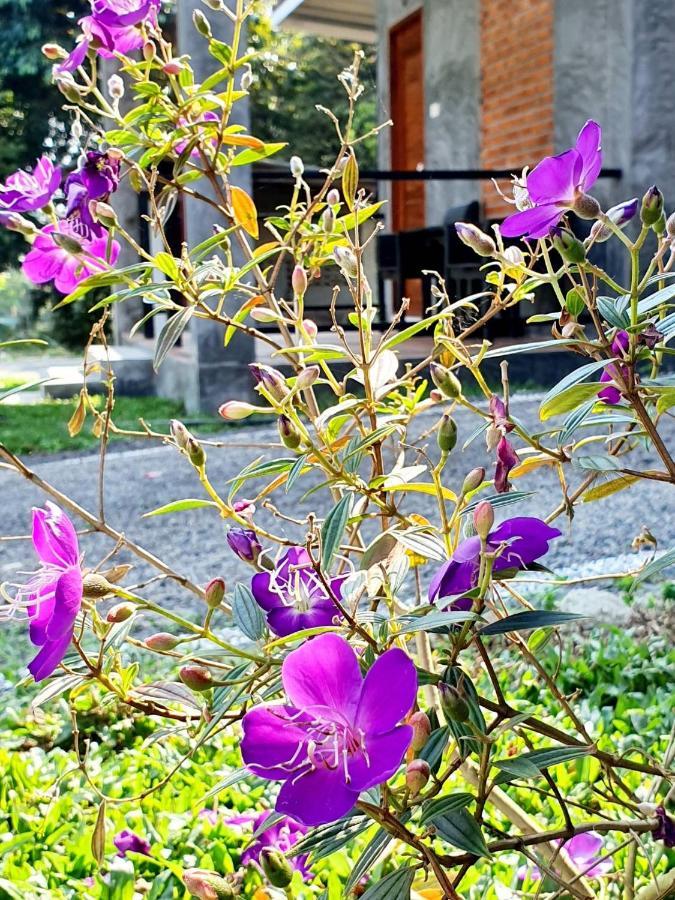 B-Tel Chomthong Resort Chiang Mai Чом Тонг Екстериор снимка
