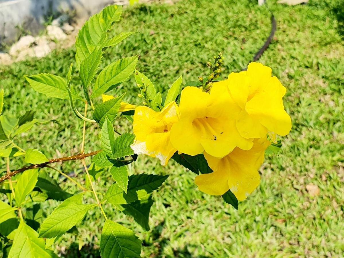 B-Tel Chomthong Resort Chiang Mai Чом Тонг Екстериор снимка